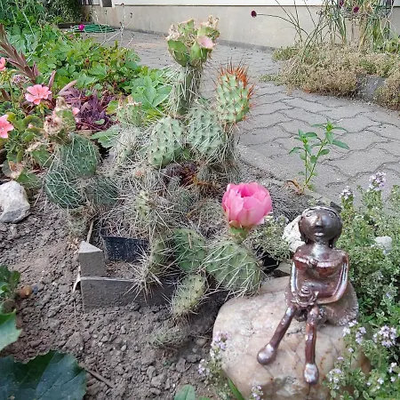 Apartment Am Garten *