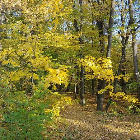 Apartment Am Garten *