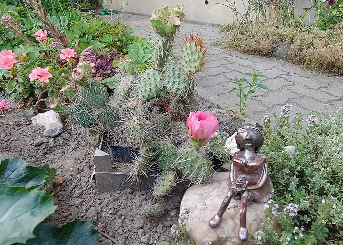 Apartment Am Garten *