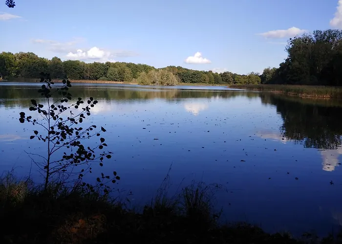 Apartment Am Garten Weissenberg