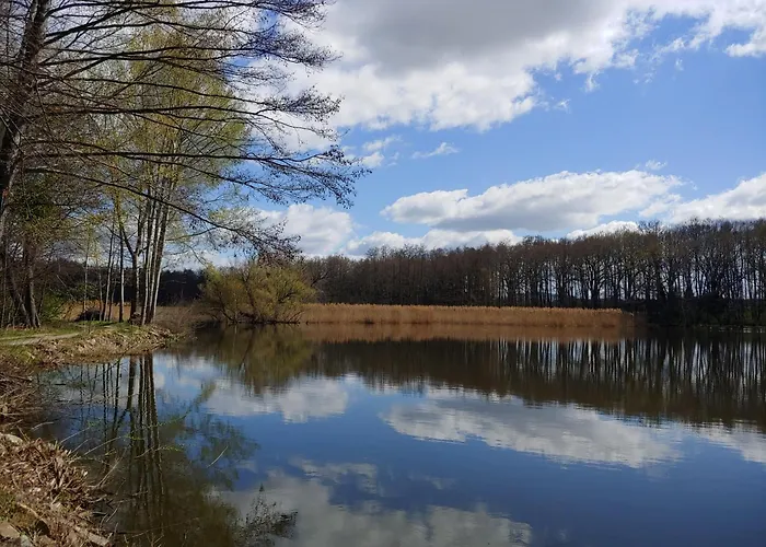 Apartment Am Garten Weissenberg