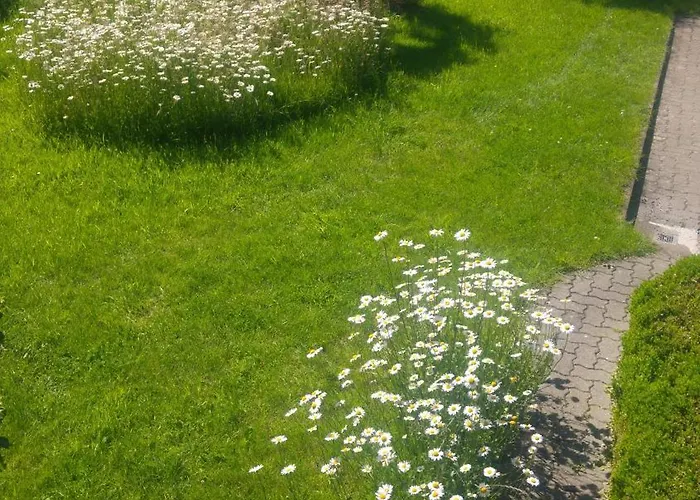 Apartment Am Garten