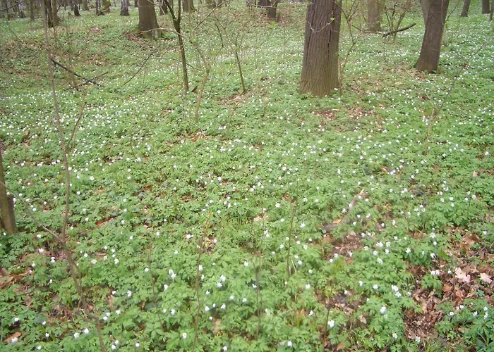 Apartment Am Garten Weissenberg