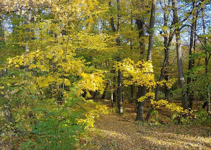 Apartment Am Garten *